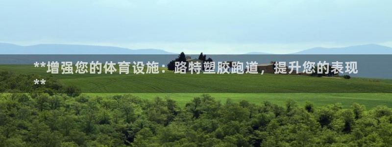 谈球吧体育赛事入口：**增强您的体育设施：路特塑胶跑