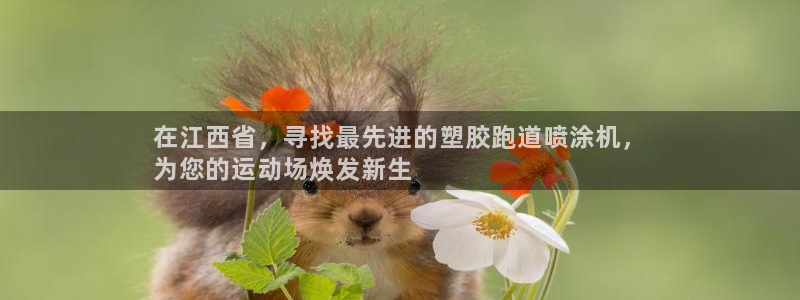 谈球吧体育app下载中心官网手机版：在江西省，寻找最先进的塑胶跑道喷涂机，
为您的运动场焕发新生