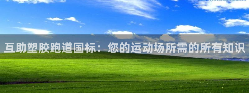 谈球吧网站：互助塑胶跑道国标：您的运动场所需的所有知识