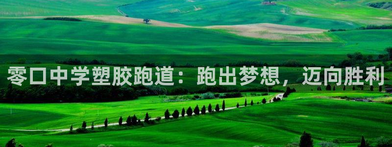 谈球吧体育app下载足球：零口中学塑胶跑道：跑出梦想，迈向胜利