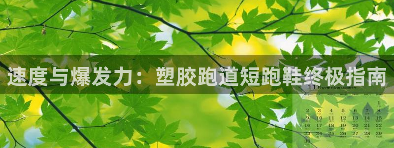 谈球吧app赛事分析报告怎么做