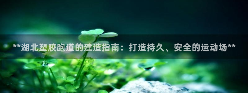 谈球吧官网下载：**湖北塑胶跑道的建造指南：打造持久、安全的运动场**