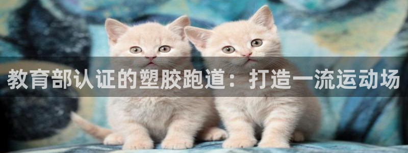 谈球吧官网在线入口手机版免费下载：教育部认证的塑胶跑道：打造一流运动场