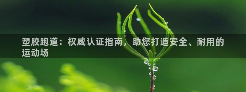 谈球吧平台app：塑胶跑道：权威认证指南，助您打造安全、耐用的
运动场