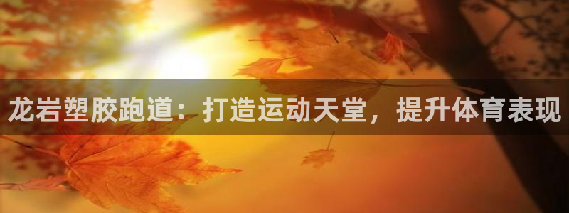 谈球吧官网首页：龙岩塑胶跑道：打造运动天堂，提升体育表现