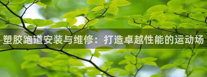 谈球吧在线登录：塑胶跑道安装与维修：打造卓越性能的运动场