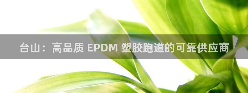 谈球吧体育app下载中心官方最新版：台山：高品质 EPDM 塑胶跑道的可靠供应商