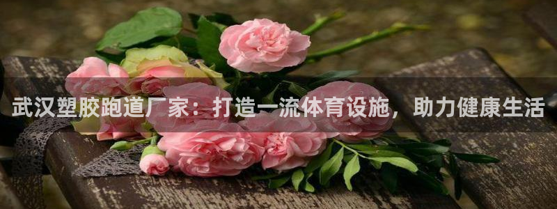 谈球吧体育app登陆不了：武汉塑胶跑道厂家：打造一流体育设施，助力健康生活