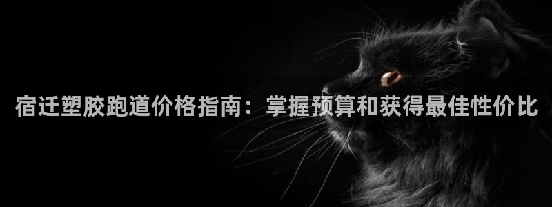 谈球吧的聊天软件叫什么来着：宿迁塑胶跑道价格指南：掌握预算和获得最佳性价比