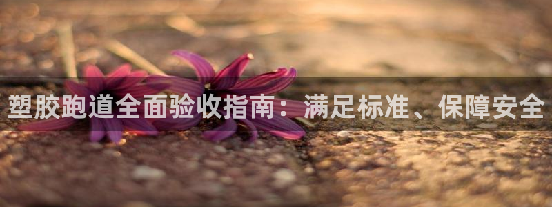 谈球吧体育app下载足球直播软件：塑胶跑道全面验收指南：满足标准、保障安全