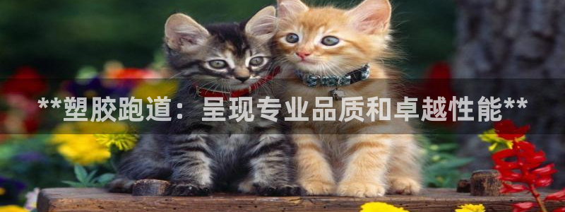 谈球吧登录网：**塑胶跑道：呈现专业品质和卓越性能**