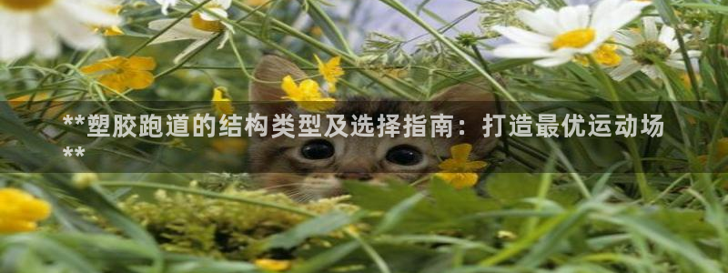 谈球吧论坛：**塑胶跑道的结构类型及选择指南：打造最优运动场
**