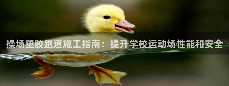 谈球吧体育app下载官网苹果版：操场塑胶跑道施工指南：提升学校运动场性能和安全
