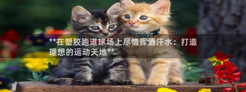 谈球吧体育app登陆入口：**在塑胶跑道球场上尽情挥洒汗水：打造
理想的运动天地**