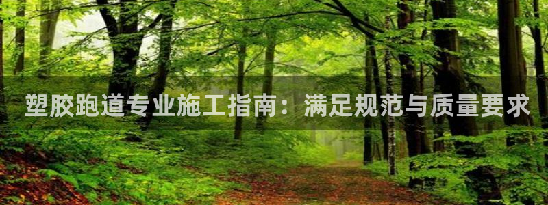 谈球吧网站： 塑胶跑道专业施工指南：满足规范与质量要求