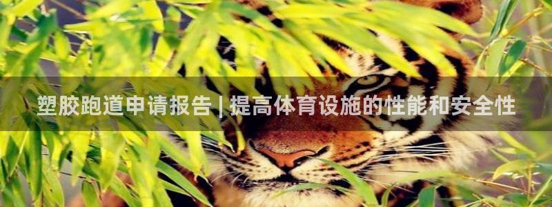 谈球吧平台：塑胶跑道申请报告 | 提高体育设施的性能和安全性