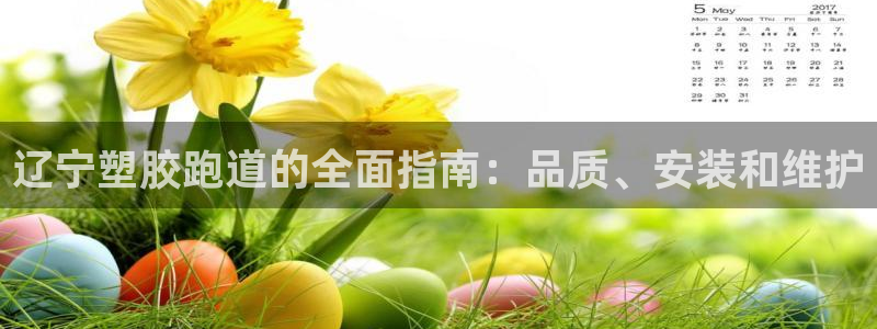 谈球吧体育app下载中心在哪找：辽宁塑胶跑道的全面指南：品质、安装和维护