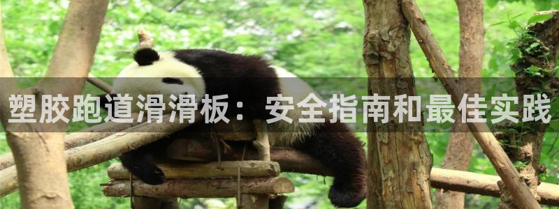 谈球吧官网在线入口手机版免费观看：塑胶跑道滑滑板：安