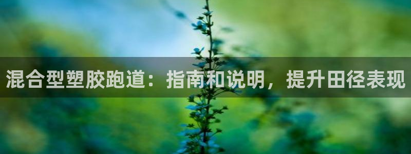谈球吧官网在线入口手机版下载安装：混合型塑胶跑道：指南和说明，提升田径表现
