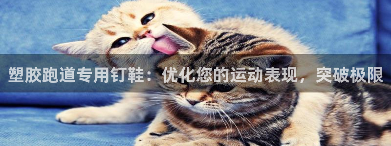 谈球吧官网入口