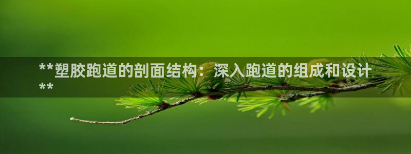 谈球吧黑款：**塑胶跑道的剖面结构：深入跑道的组成和设计
**