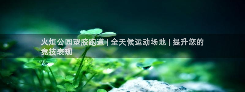 谈球吧平台：火炬公园塑胶跑道 | 全天候运动场地 | 提升您的
竞技表现