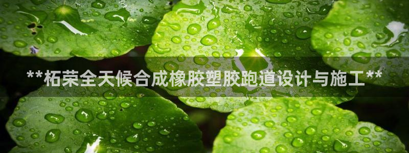 谈球吧红包码：**柘荣全天候合成橡胶塑胶跑道设计与施工**