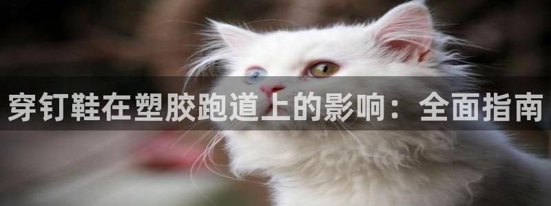 谈球吧体育首页综合登陆：穿钉鞋在塑胶跑道上的影响：全面指南