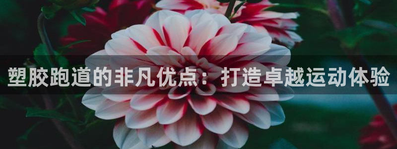 谈球吧被黑不给提现