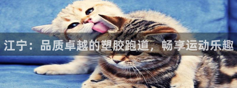 谈球吧体育app下载中心在哪：江宁：品质卓越的塑胶跑道，畅享运动乐趣