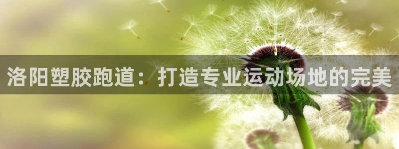 谈球吧网站：洛阳塑胶跑道：打造专业运动场地的完美