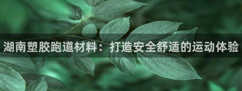谈球吧官网在线入口手机版