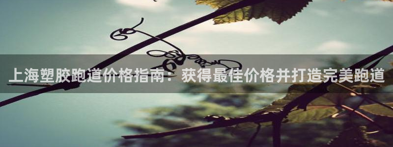 谈球吧最新APP下载：上海塑胶跑道价格指南：获得最佳价格并打造完美跑道