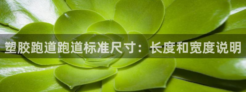 谈球吧app官网下载安卓：塑胶跑道跑道标准尺寸：长度和宽度说明