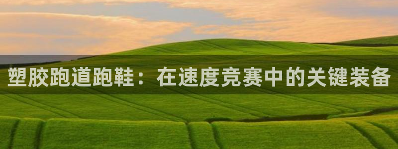 谈球吧登录网：塑胶跑道跑鞋：在速度竞赛中的关键装备