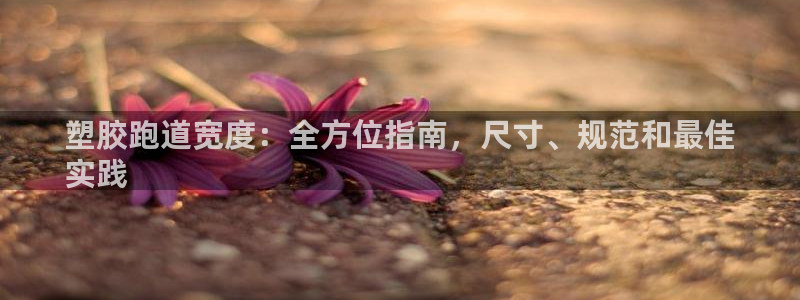 谈球吧体育app下载官网手机版安装：塑胶跑道宽度：全方位指南，尺寸、规范和最佳
实践