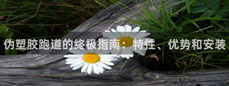 谈球吧体育app下载：伪塑胶跑道的终极指南：特性、优势和安装