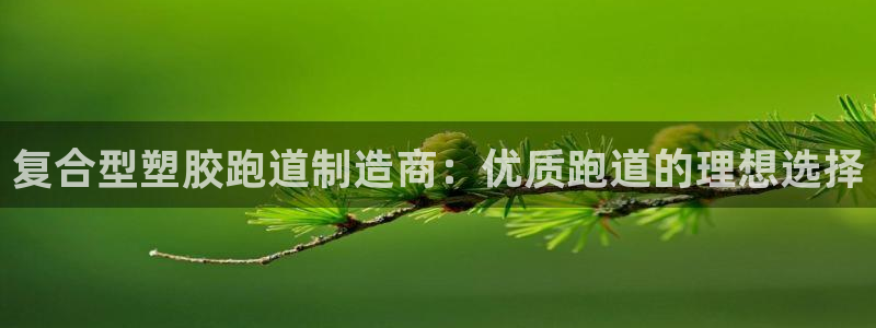 谈球吧黑款不：复合型塑胶跑道制造商：优质跑道的理想选择