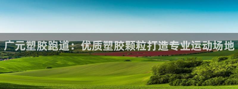 谈球吧登录：广元塑胶跑道：优质塑胶颗粒打造专业运动场地
