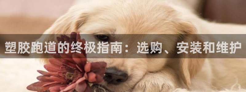 谈球吧官网在线入口免费观看视频网站：塑胶跑道的终极指南：选购、安装和维护