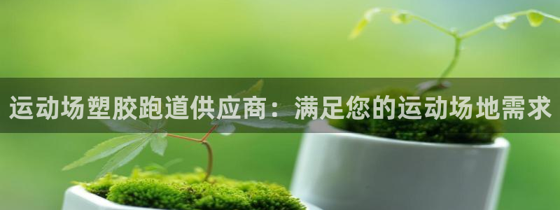 谈球吧平台：运动场塑胶跑道供应商：满足您的运动场地需求