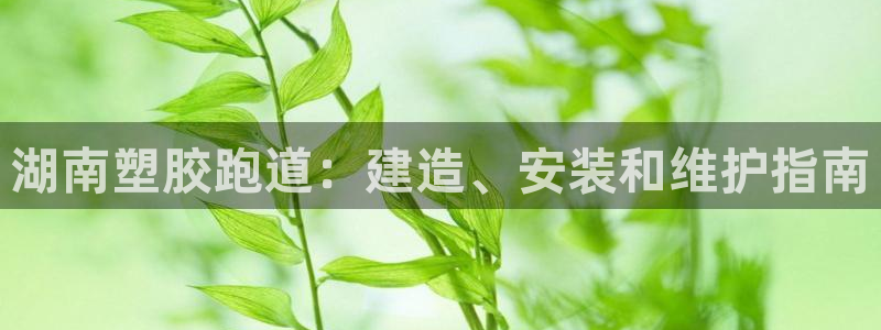 谈球吧怎么样?：湖南塑胶跑道：建造、安装和维护指南