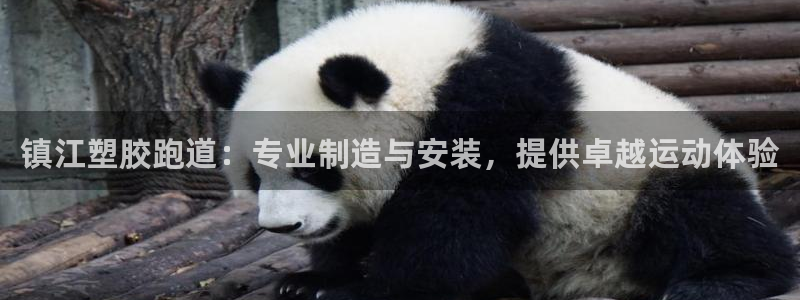 谈球吧体育官网在线入口免费观看：镇江塑胶跑道：专业制造与安装，提供卓越运动体验