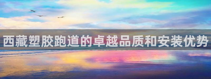 谈球吧官网在线入口手机版：西藏塑胶跑道的卓越品质和安