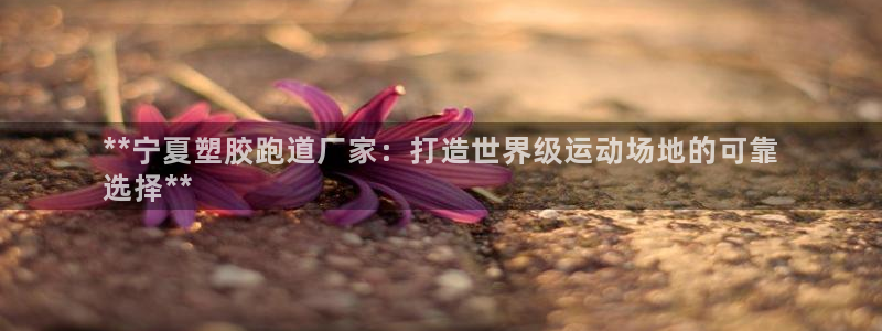 谈球吧app官网下载：**宁夏塑胶跑道厂家：打造世界级运动场地的可靠
选择**