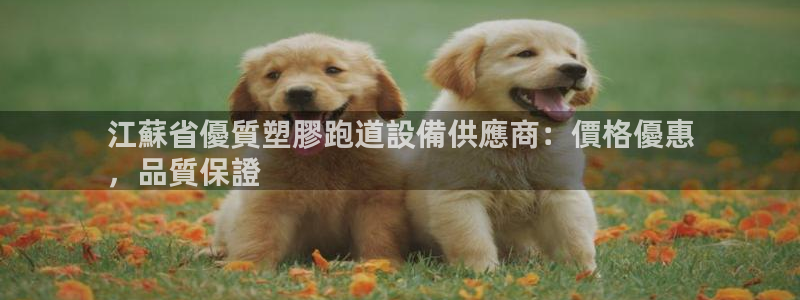谈球吧平台app：江蘇省優質塑膠跑道設備供應商：價格