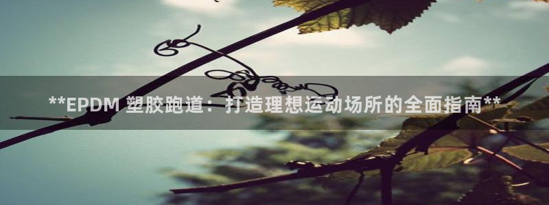 谈球吧体育app下载官网苹果手机：**EPDM 塑胶