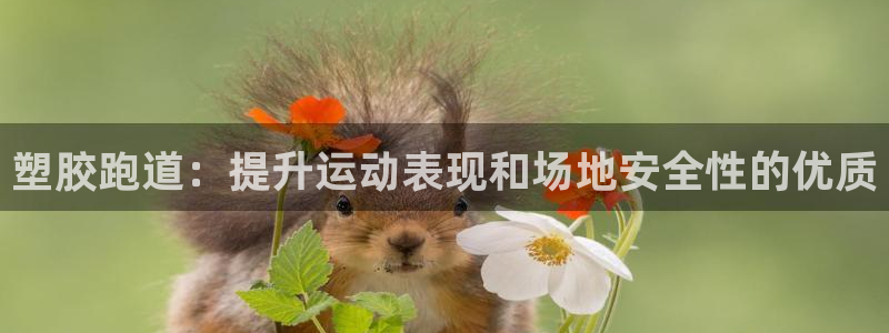 谈球吧体育app下载官网手机版安装