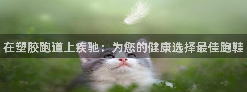 谈球吧平台正规吗可信吗安全吗：在塑胶跑道上疾驰：为您
