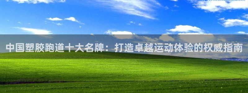 谈球吧官网提款不了：中国塑胶跑道十大名牌：打造卓越运